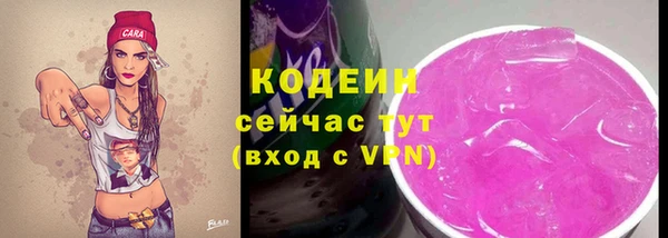 spice Снежинск