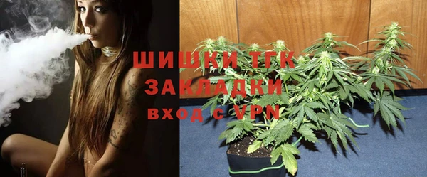 первитин Богородицк