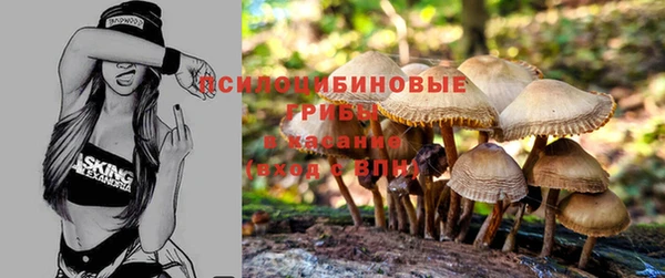 первитин Богородицк